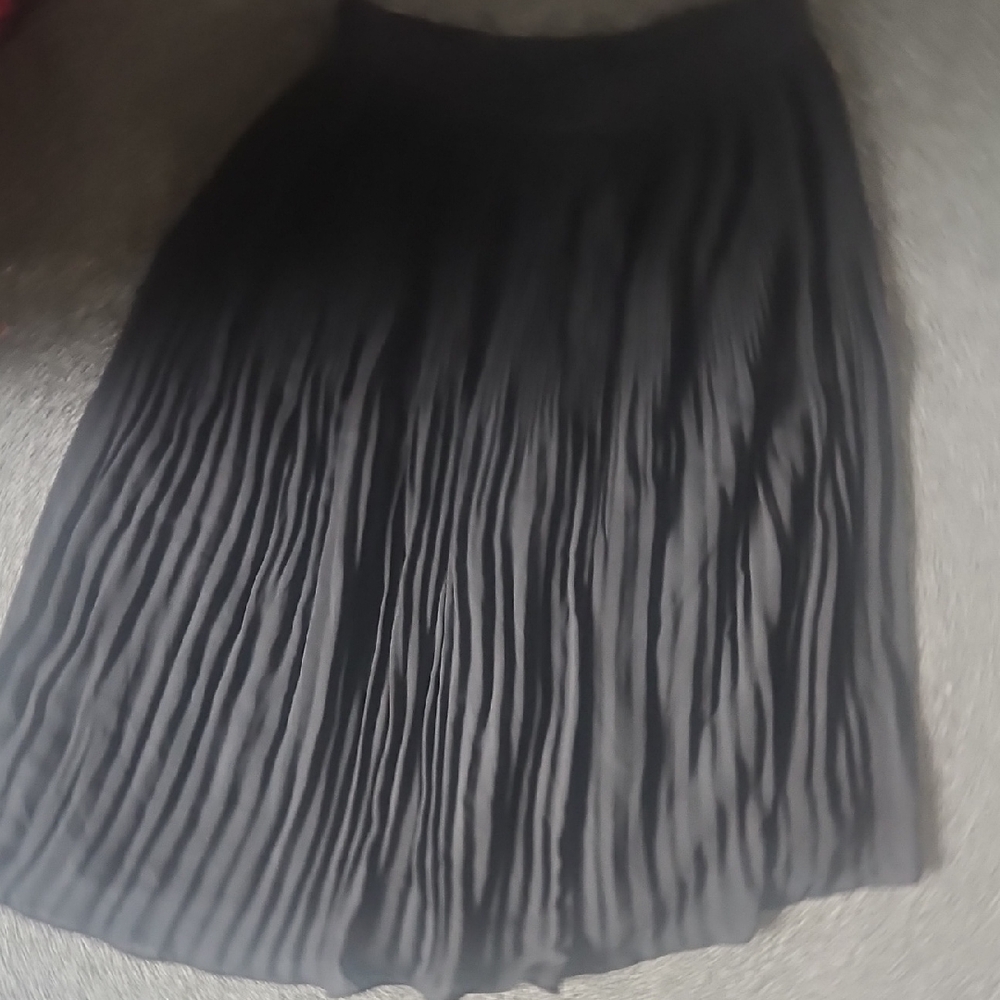 Elegant Black Pleated Skirt
